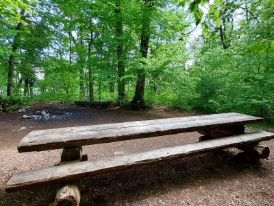 Une table de pique-nique, avec un foyer et du bois à disposition