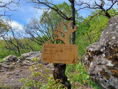 <p>Panneau, à la Roche de l'Ermitage</p>