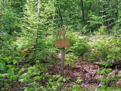 <p>Un des panneaux dans la forêt</p>