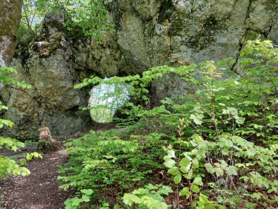 Sous la Roche de l'Ermitage