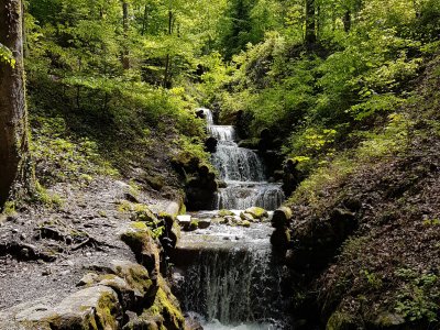 Ruisseau du Seeholz