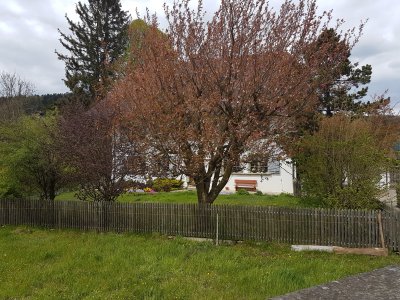 <p>Maison un peu cachée<br></p>