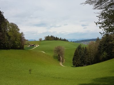 <p>Les pâturages<br></p>