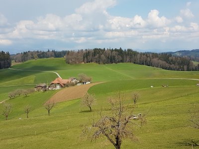 <p>Les pâturages<br></p>