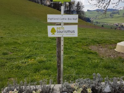 <p>En descendant vers Ursenbach<br></p>