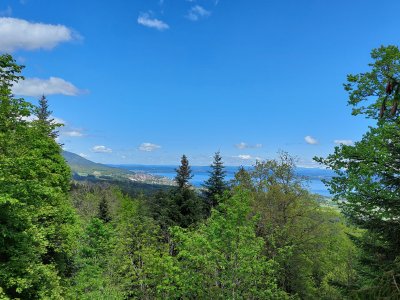 Vue sur Neuchâtel