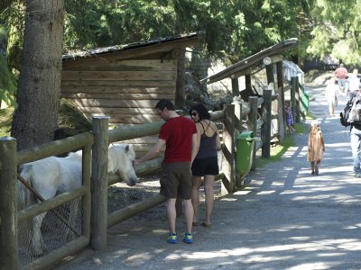 Le zoo des Marécottes