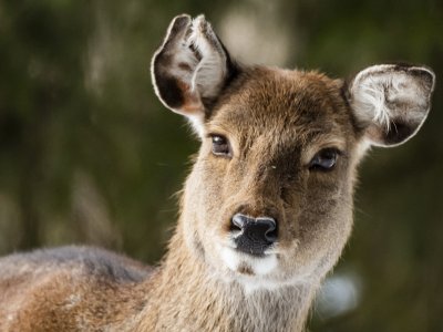 Une jolie rencontre dans le zoo