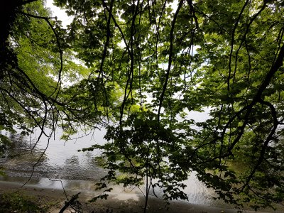 Rive en quittant Morges
