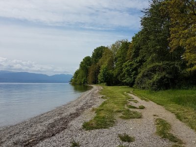 La rive près de Tolochenaz