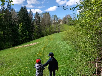 Sortie de la forêt, près du village.