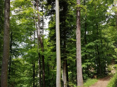  Le sentier