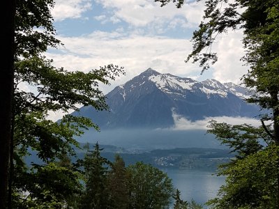 Vue du sentier sur le Niesen