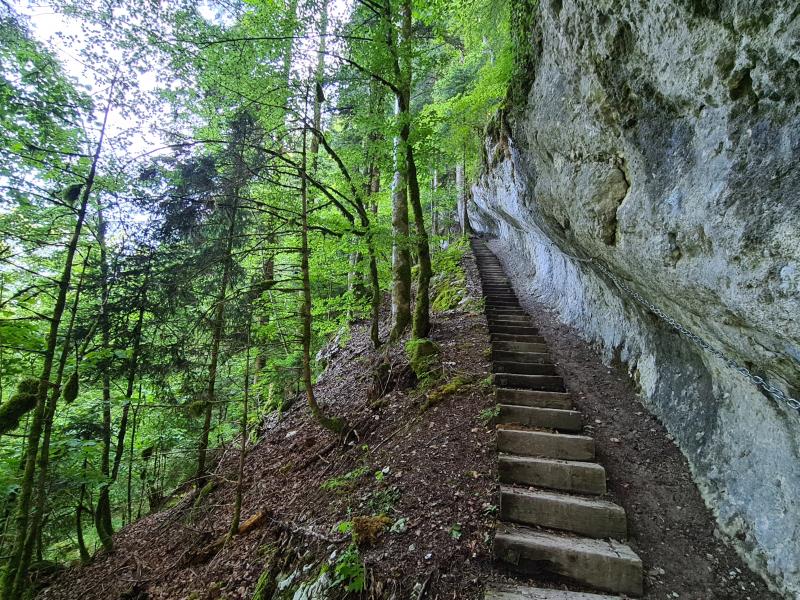 Corridor-au-loup