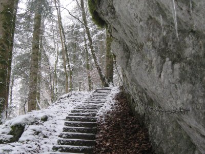 Sentier bien aménagé