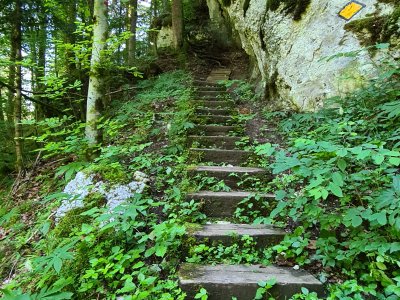 <p>Le début de la montée au Corridor-au-loup</p>