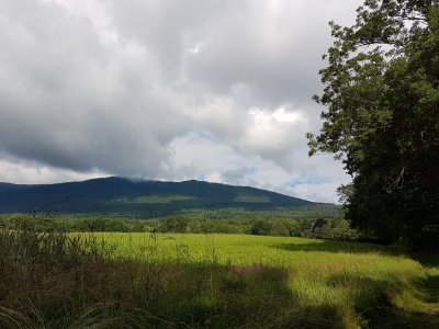 <p>Petit passage hors de la forêt</p>