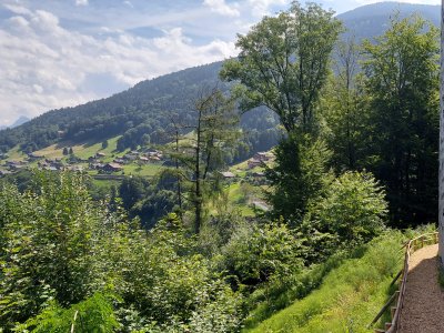 Le départ du chemin longe le parking