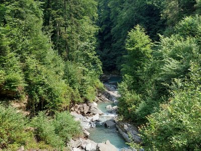 La Vièze, depuis le Pont du Diable