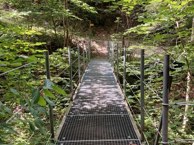 Petite passerelle, au fond des gorges