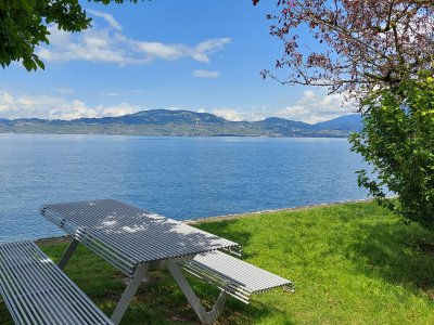 <p>Le bord du lac est joliment aménagé</p>