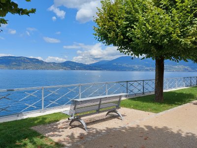 <p>Des bancs incitent au farniente</p>