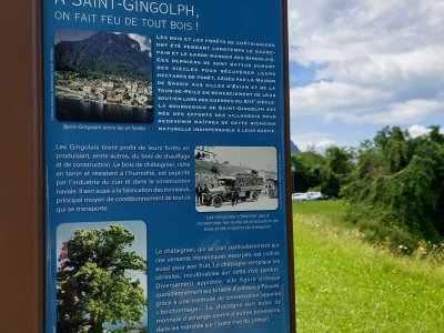 Panneau didactique sur le bois et les forêts de châtaigniers