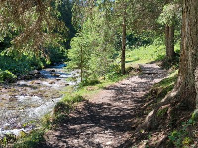 <p>Le sentier ombragé est agréable</p>