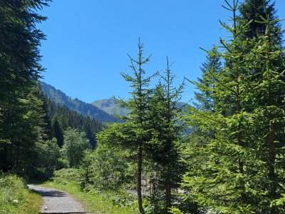 <p>En approchant du vallon de la cantine de They</p>