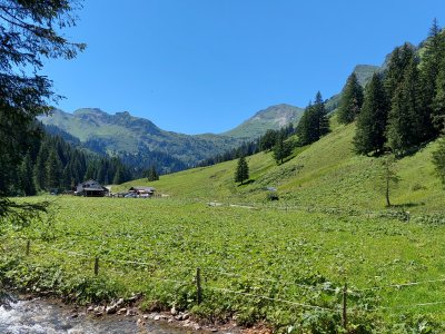 <p>Au fond, la cantine de They, dans un vallon verdoyant</p>