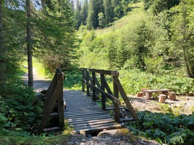 <p>Un petit pont pour traverser la rivière</p>