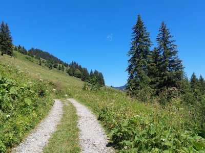 Juste après avoir quitté l'étang de Sassey, en remontant pour rejoindre la route goudronnée