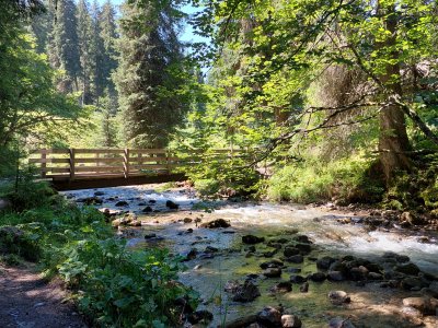 <p>Un des nombreux ponts enjambant la Vièze de Morgins</p>