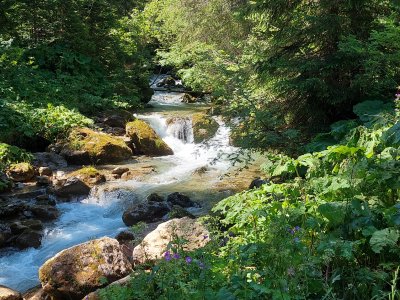 <p>La Vièze, par moments tumultueuse</p>