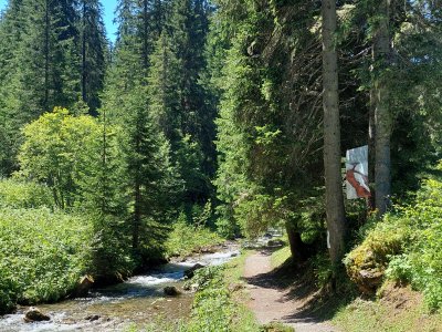 <p>Le sentier est facile et agréable à parcourir</p>