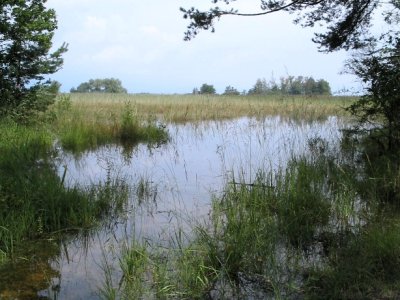 En direction du lac depuis le chemin