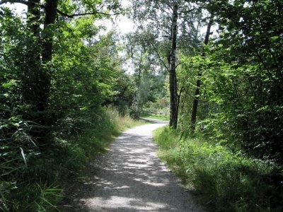 Le chemin, peu avant l'arrivée à Cheyres