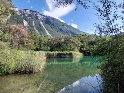 <p>L'étang, les roseaux et la montagne</p>