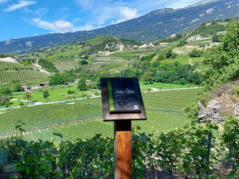 Sentier du lézard vert