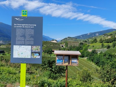 Le départ du sentier du lézard vert