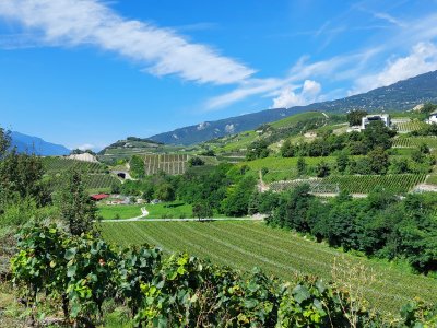 En suivant le sentier