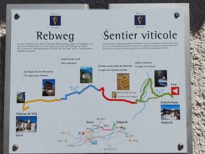 Le sentier viticole, nous avons fait la boucle verte