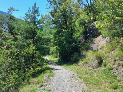 Sentier pédestre agréable à parcourir