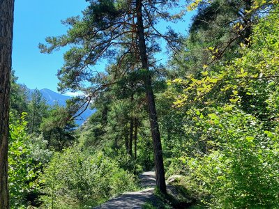 Le bisse de Marais