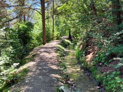 Le bisse de Marais