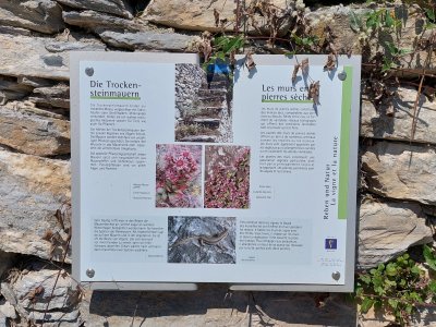 Plusieurs panneaux explicatifs agrémentent le sentier