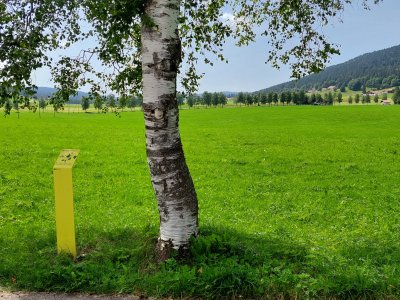 Peu après le départ de la balade