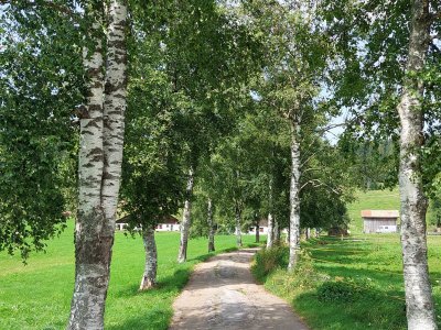 <p>La route à la sortie du village</p>