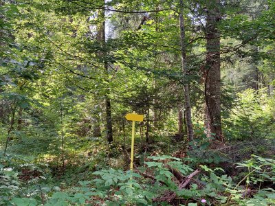 <p>Un petit panneau indicateur jaune à suivre</p>