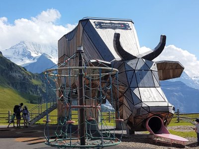 La vache toboggan